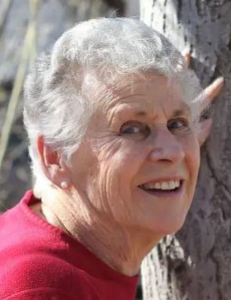 Gaylene Law Profile Photo