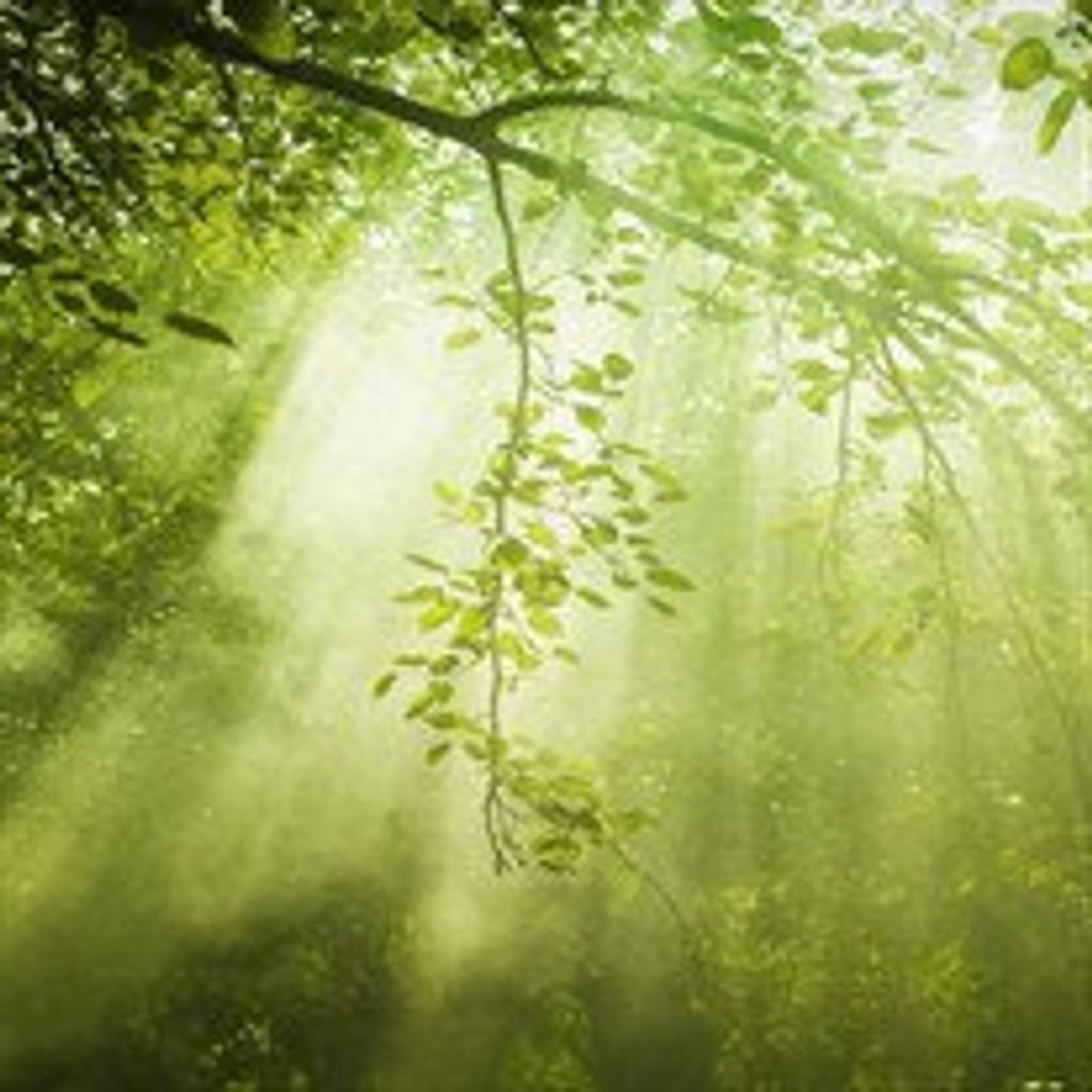 Patricia  K. Roberts