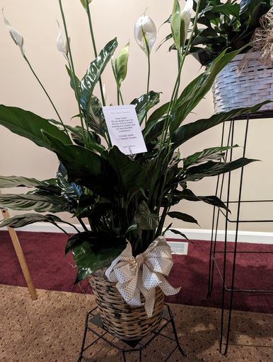 Leonard Wells photo 16