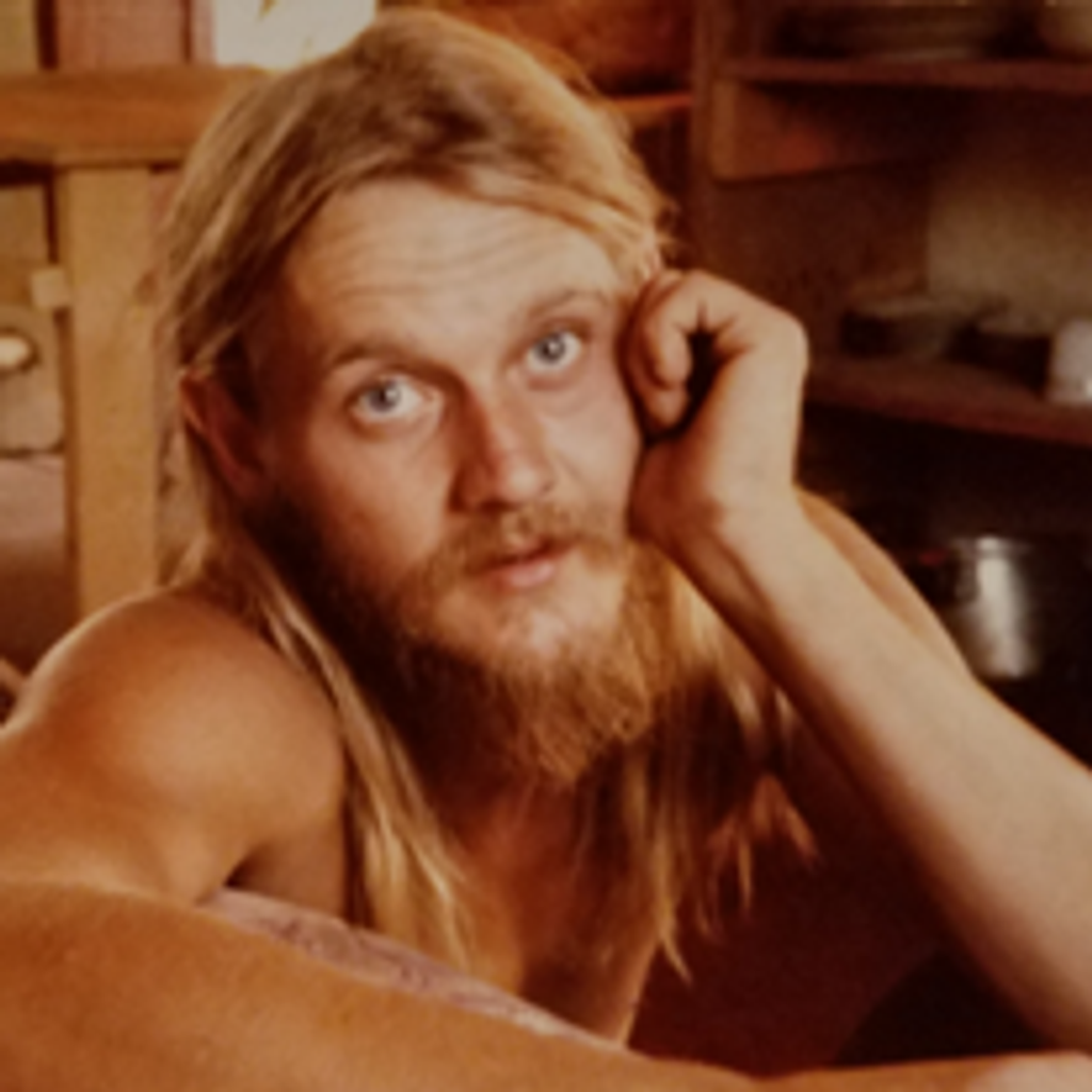 Harald Dieter Wille