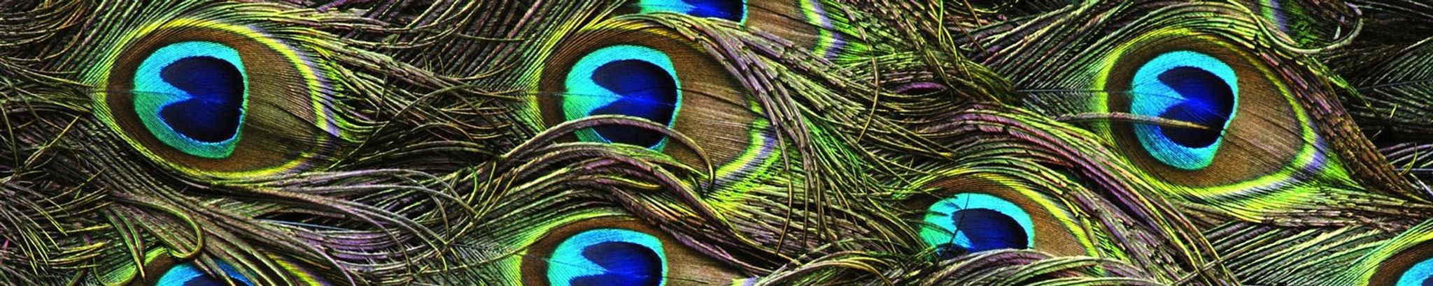 Cover for Patsy "Pat" Edwards's Obituary