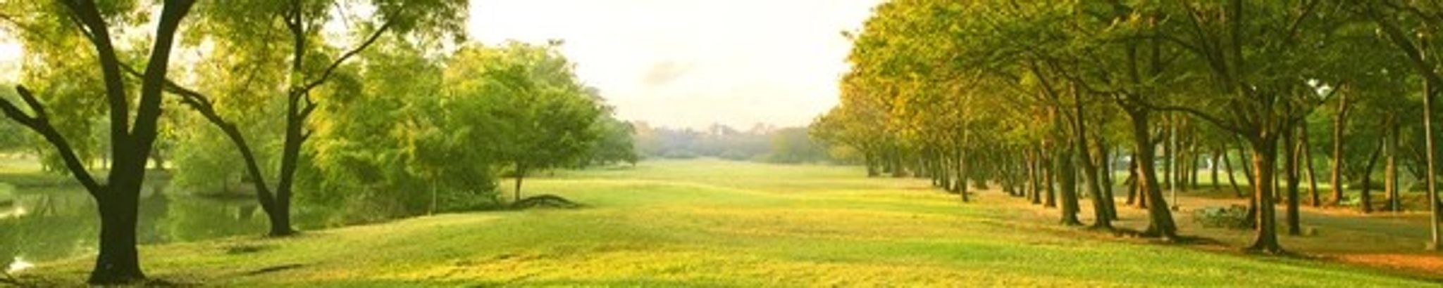 Cover photo for Don White's Obituary