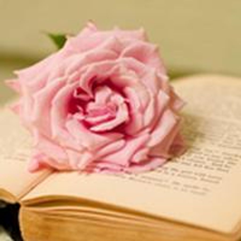 Linda  J. White Profile Photo