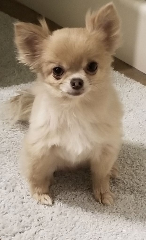 Lola Profile Photo