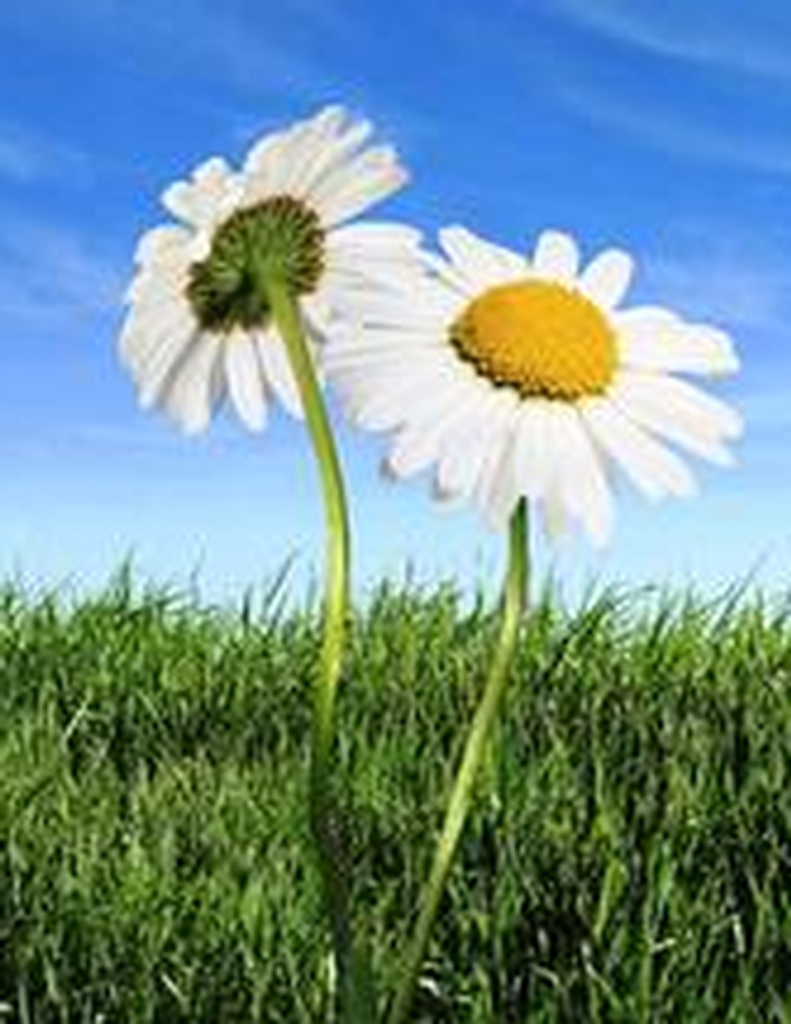 John Derward Hufstetler