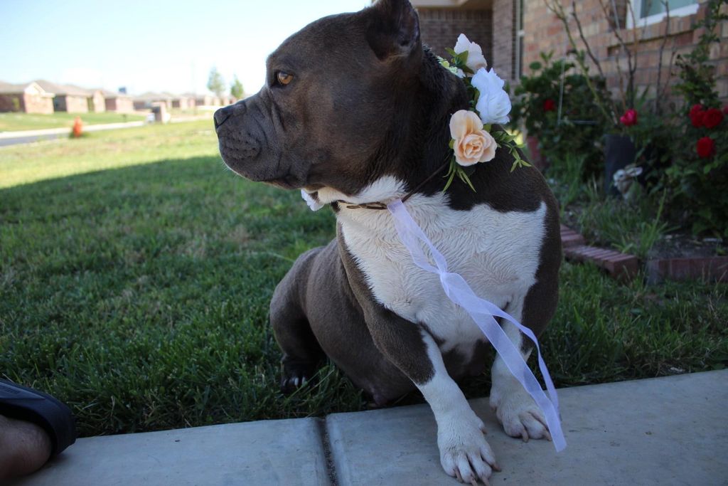 Cashmere Profile Photo