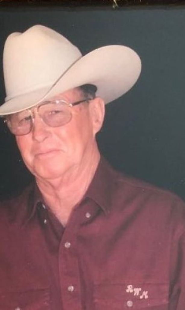 Robert Wiley Mcleroy