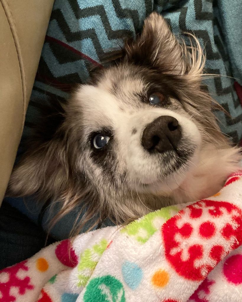 Jack Rush Profile Photo