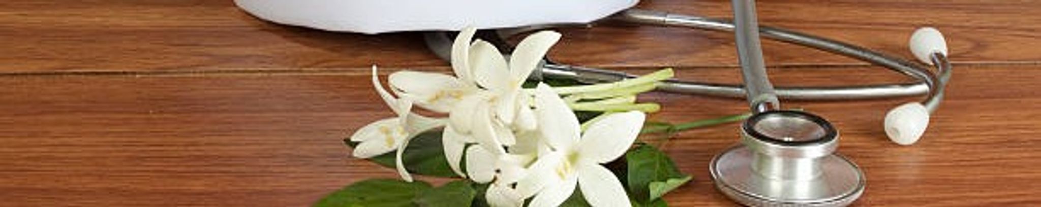 Cover photo for JoAnn Schultz's Obituary