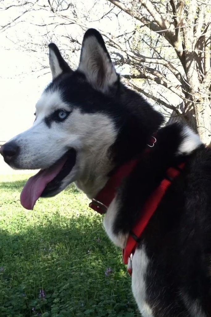Mya Profile Photo