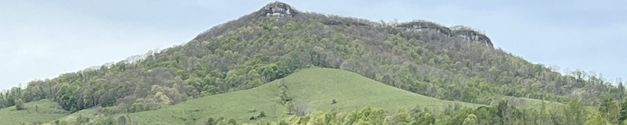 Cover for Elizabeth (Libby) O'Conor's Obituary