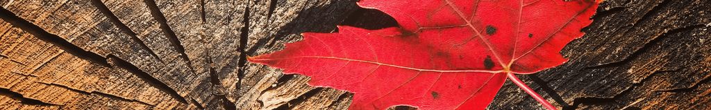 Cover photo for Chais Cameron Clowater's Obituary