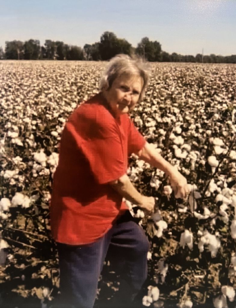 Carol Holifield Profile Photo