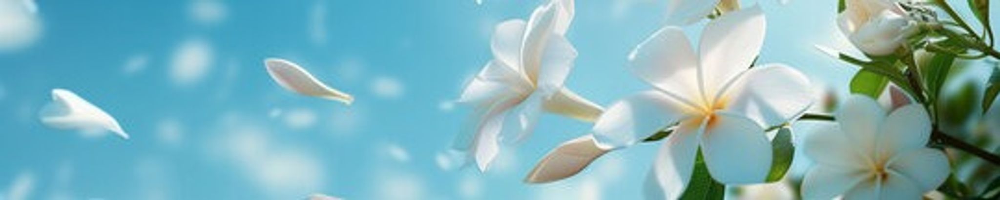 Cover photo for Ann Malcolm Robinson Clarke's Obituary