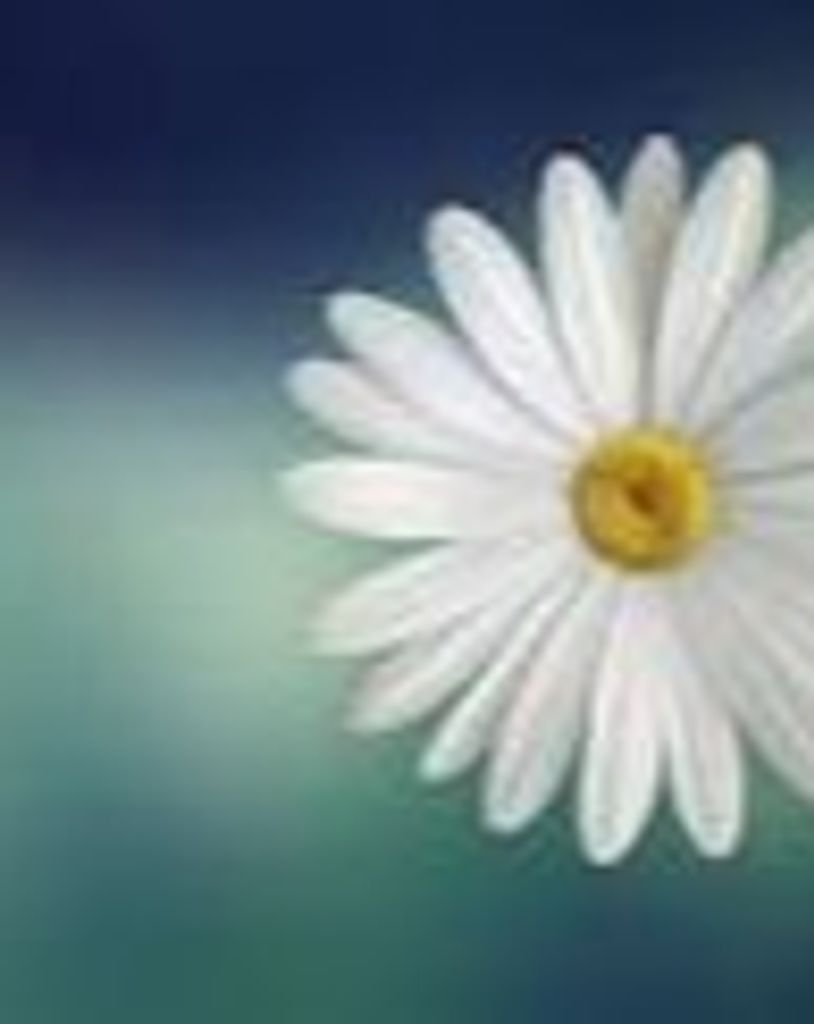 Mary Ann Talsma