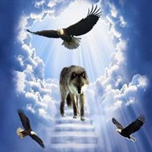 Linda Sue Bartruff Profile Photo