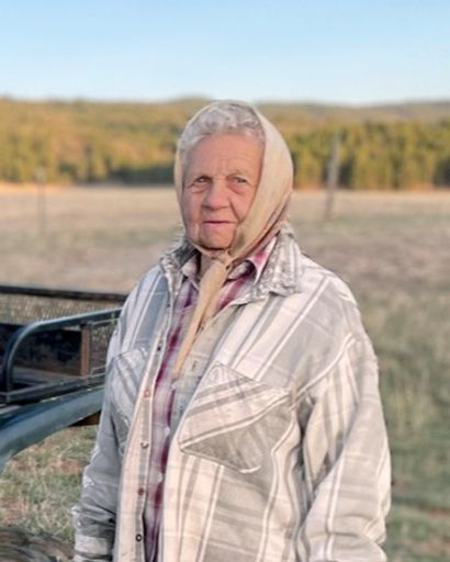 Helen Patricia Nicolls's obituary image