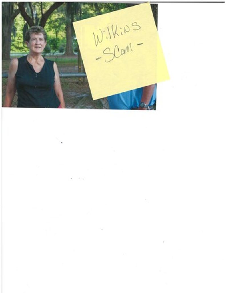 Nellie June Wise Wilkins