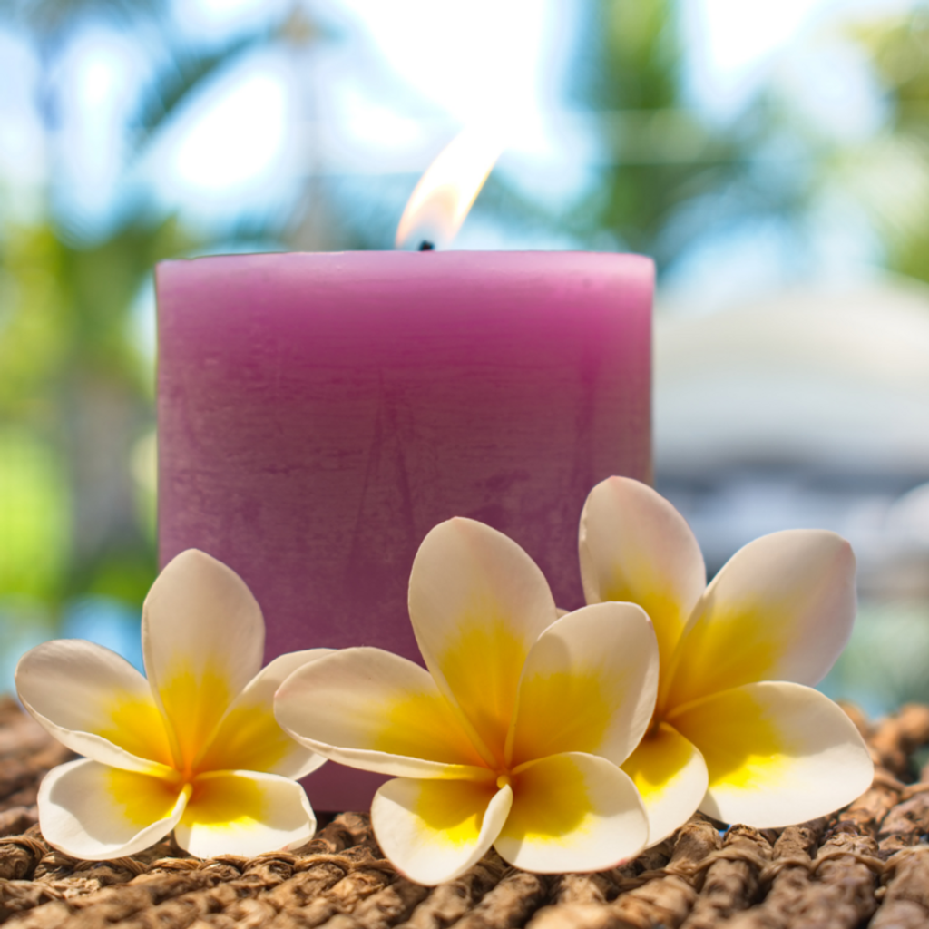 Deborah Lynn Williams