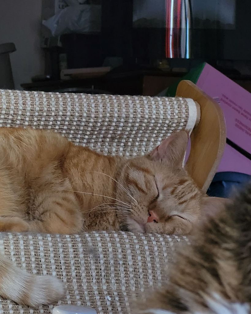 Lady Loki Glendenning