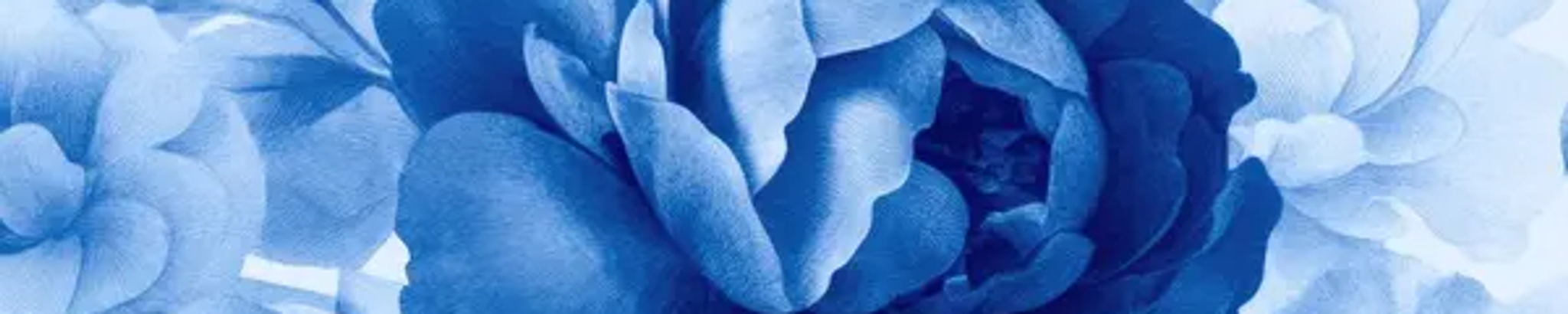 Cover for Lillie Mae Hines's Obituary