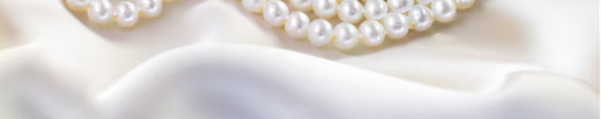 Cover for Barbara Hollimon Palmer's Obituary