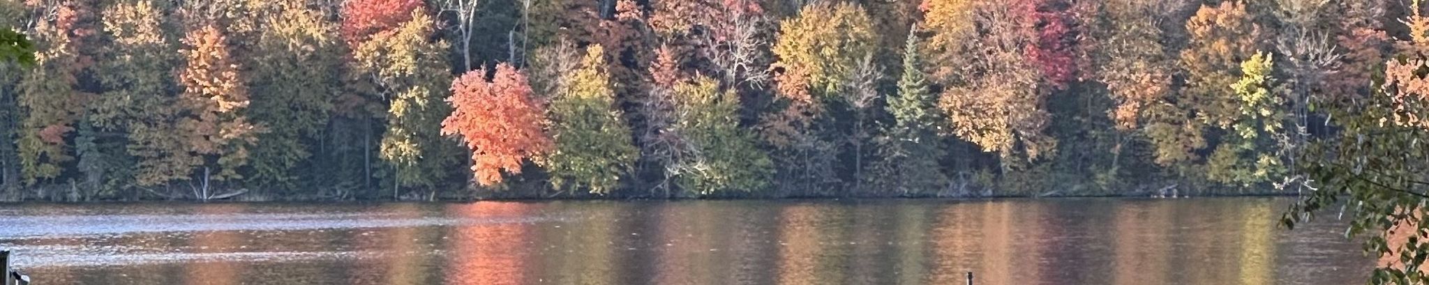 Cover for Juliann F. Cornelissen's Obituary