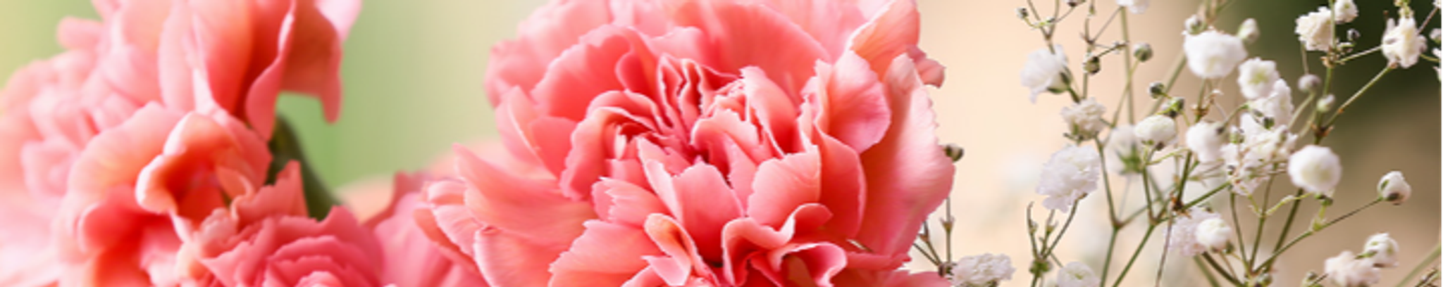 Cover photo for Frances "Pancha" Gallegos's Obituary