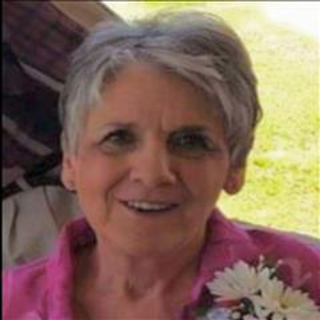 Diane Sue Koehring Profile Photo