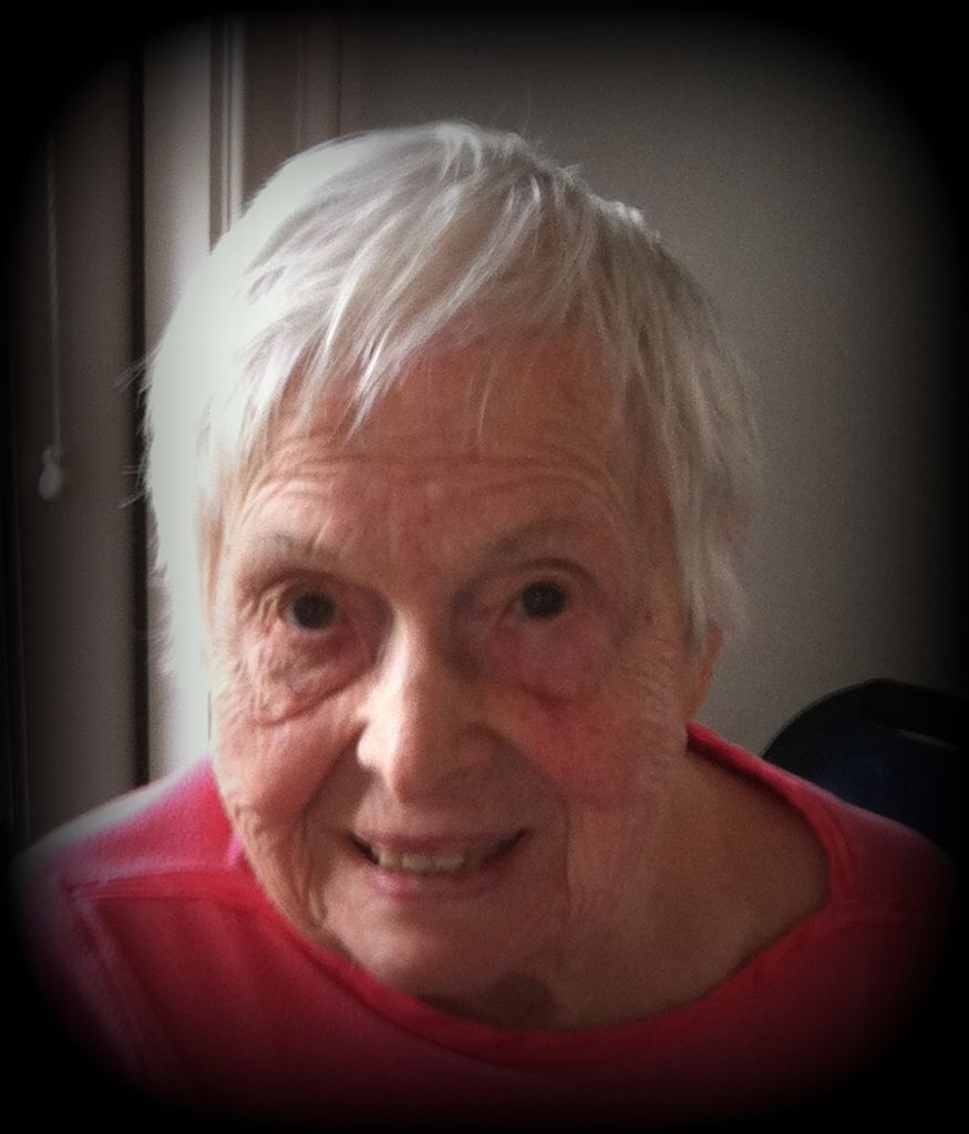 Anne Zelonis Petroski