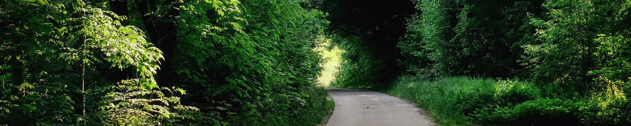 Cover for Donald L. Sipe's Obituary