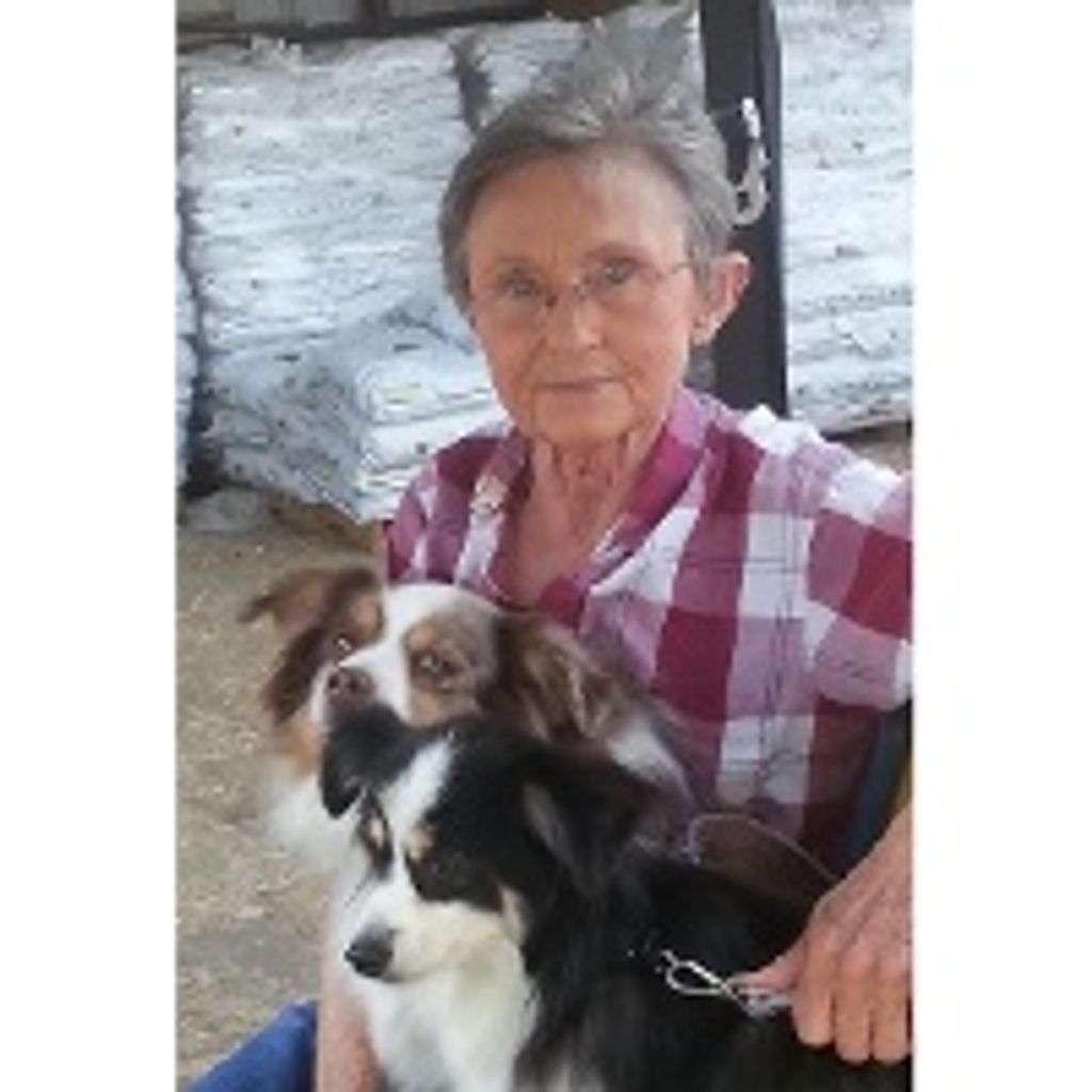 Judy Dee Spaulding