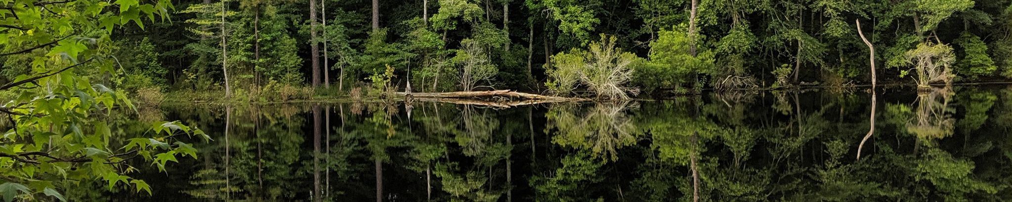 Cover for Michael Lynwood Rilee's Obituary