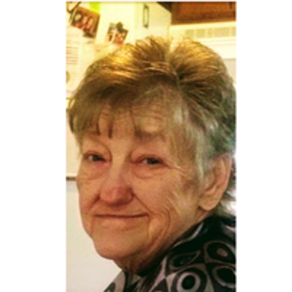 Shirley Ann Scroggins