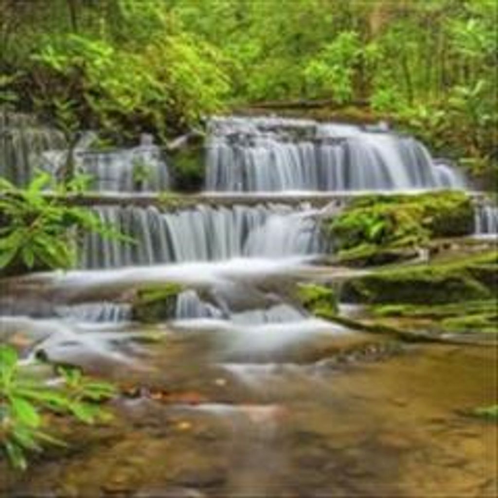 Jimmy Arthur Woodard