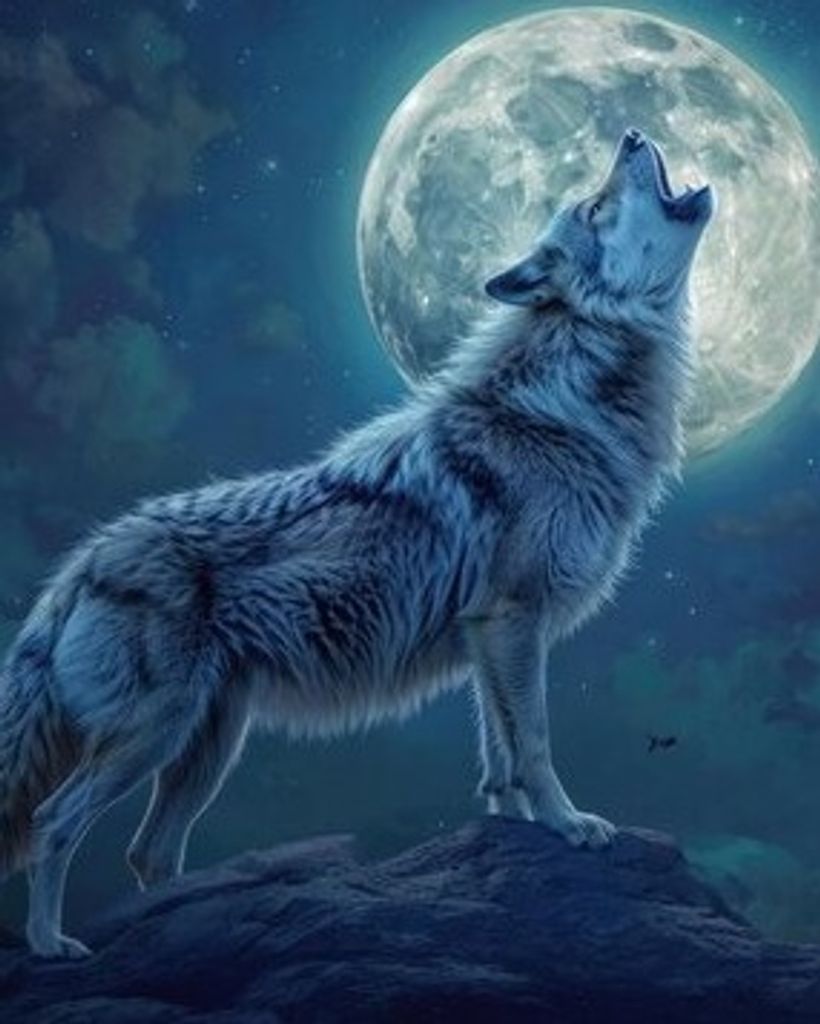 Robert A Volkman III