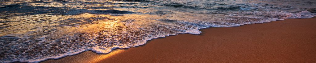 Cover photo for Susan Burke Haley Reynolds's Obituary