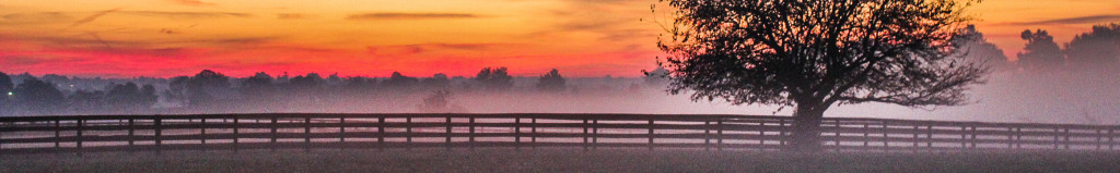 Cover photo for Alfred Eckert Sr.'s Obituary