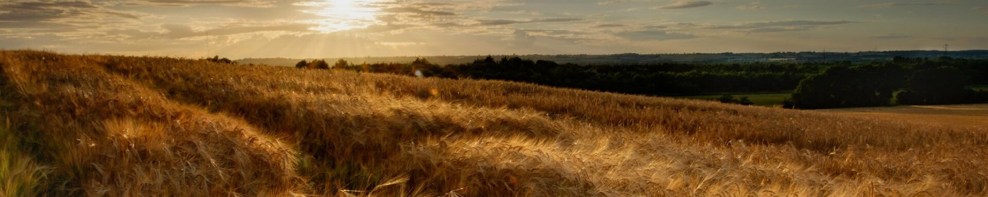 Cover photo for Patricia Jean Stewart's Obituary