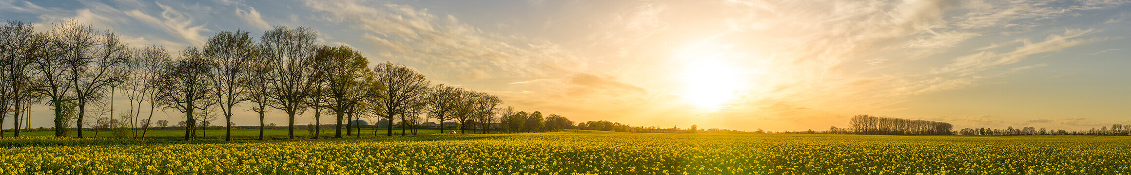 Cover photo for Anne Kearney's Obituary