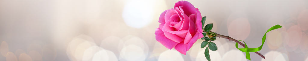 Cover photo for Vivian Anderson's Obituary