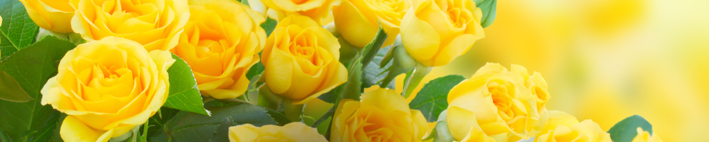 Cover photo for Margaret Lee Flowers's Obituary