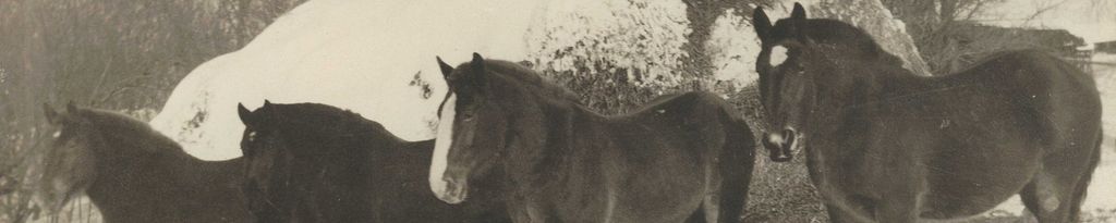 Ralph Beck Obituary 2023 Roland Funeral Service