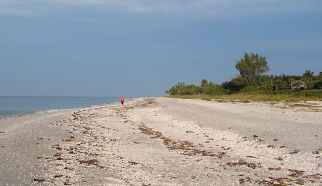 Cover photo for Alisa Gray's Obituary