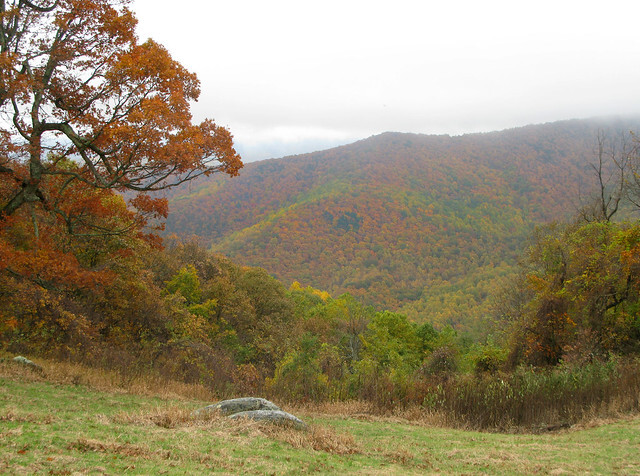 Cover photo for Edward Junior Roark, Jr.'s Obituary