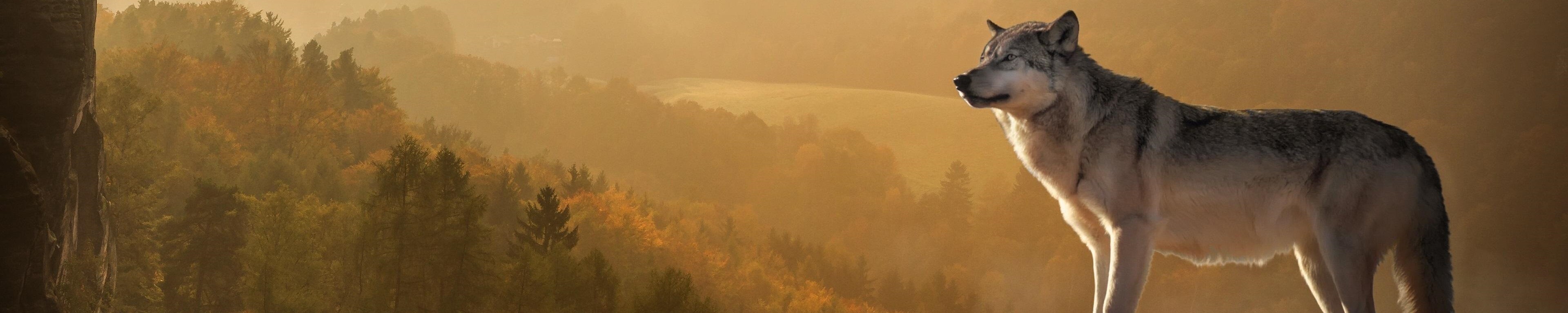 Cover photo for Janelle Loeb's Obituary