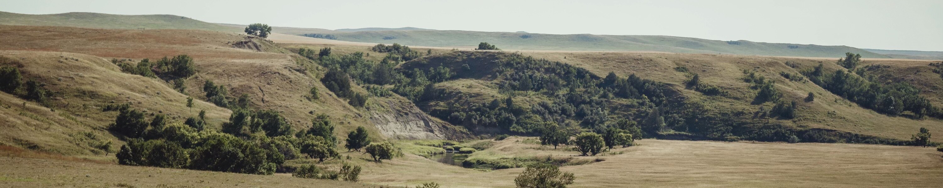 Martin Ketterling Obituary 2024 Bismarck Funeral Home and Crematory