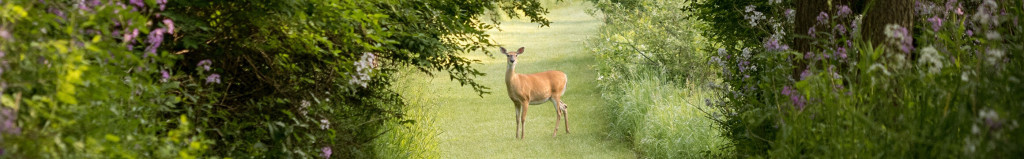 Cover photo for Curtis Feldpausch's Obituary