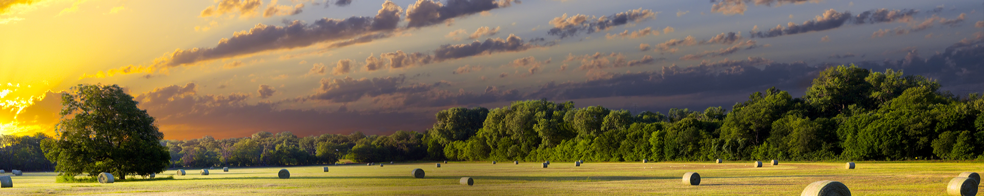 Cover photo for Ronald Hope's Obituary