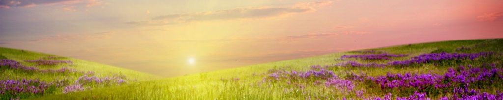 Anita Baker Obituary 2024 Feuerborn Family Funeral Service